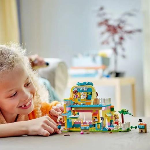 乐高 LEGO 宠物饰品店LEGC42650 商品图2