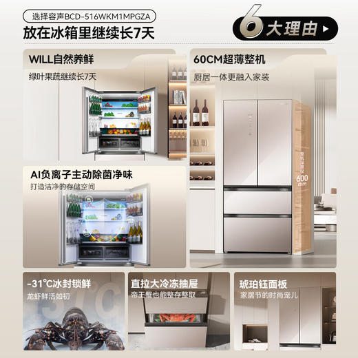 容声（Ronshen）WILL养鲜平嵌516升法式多门四开门超薄嵌入式电冰箱家用一级变频无霜 BCD-516WKM1MPGZA商场同款 商品图1