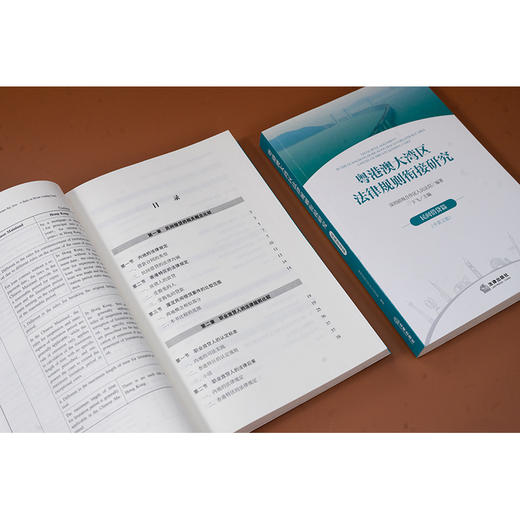 粤港澳大湾区法律规则衔接研究：民间借贷篇（中英文版）深圳前海合作区人民法院编著 法律出版社 商品图4