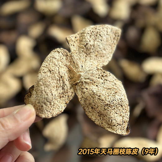 【7天内发货】【娘娘甄选】新会陈皮·一线产区·2000年东甲老树圈枝陈皮24年/5年·9年天马/14年梅江·甘香醇厚大红皮·不退不换·本品不参与满赠满减 商品图5