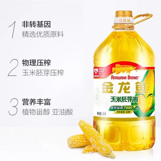 金龙鱼玉米胚芽油  5L/壶 商品图2