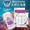 【保税仓】NATURESWAY佳思敏液体海藻钙 30粒/瓶 商品缩略图3