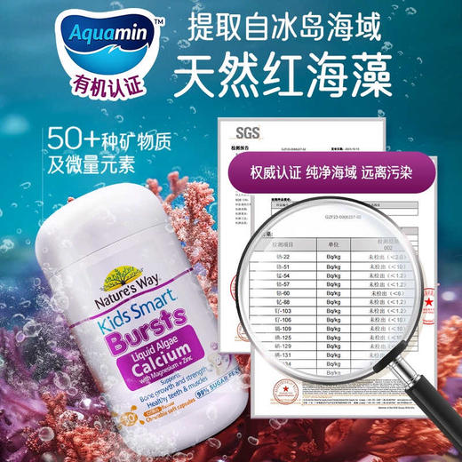 【保税仓】NATURESWAY佳思敏液体海藻钙 30粒/瓶 商品图3