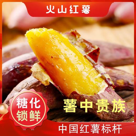 遂溪火山番薯（5斤礼盒装） 商品图0
