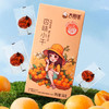 优选丨大田洼杏干独立包装180g*2盒装（甜口/甜酸口/酸甜口） 商品缩略图0