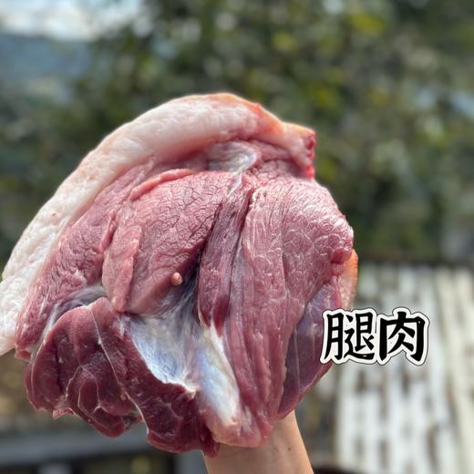 云南高山散养生态土猪肉【顺丰发货，现宰现发】 商品图2