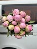 精品花材餐盘芍药花5支 商品缩略图4