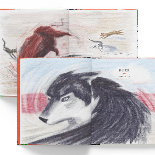 洛伦兹：喀伦坡之狼（精）（4-10岁） 商品图6