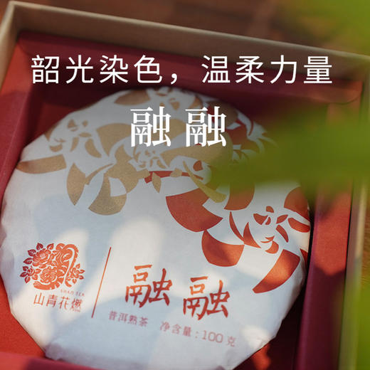 2024年融融普洱熟茶100g 商品图0