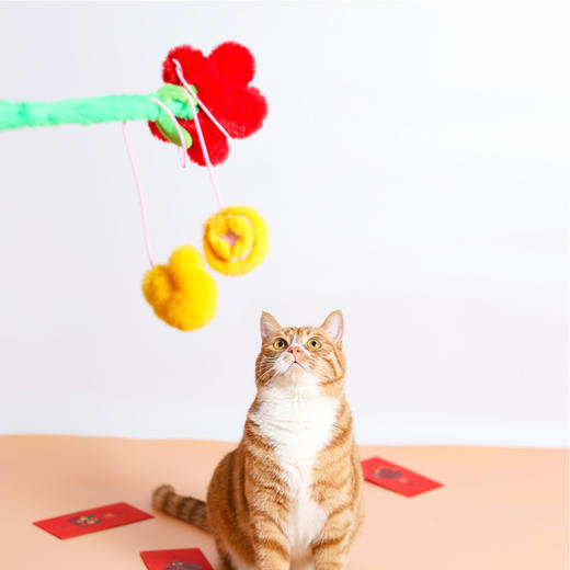恭喜花财逗猫棒 商品图1