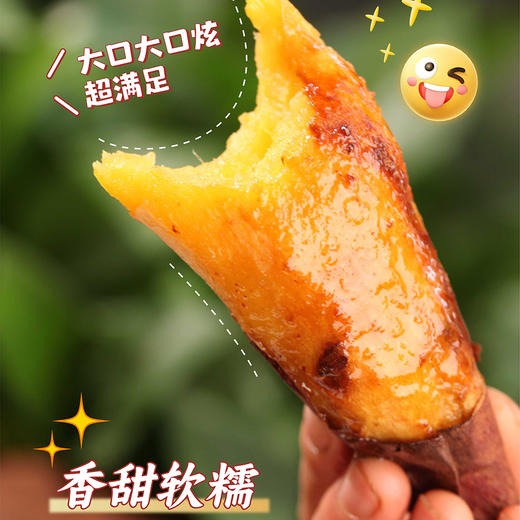 【老爸的梦想】生态榴莲蜜薯（日本西露库）口感柔绵细腻粉糯红皮黄心 3斤 商品图4