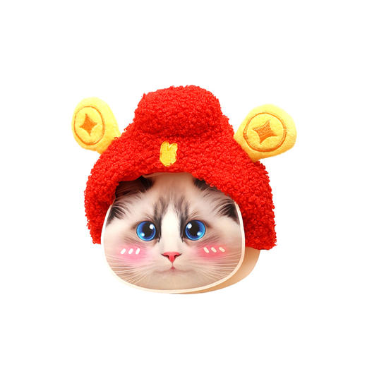 2025年新春宠物财神帽 商品图4