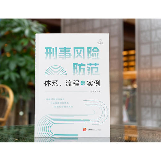 刑事风险防范：体系、流程与实例 赖建东著 法律出版社 商品图1