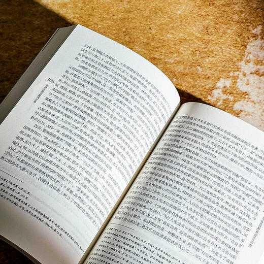 古典之智与现代之思《思想与文化》第三十四辑 杨国荣 商品图12