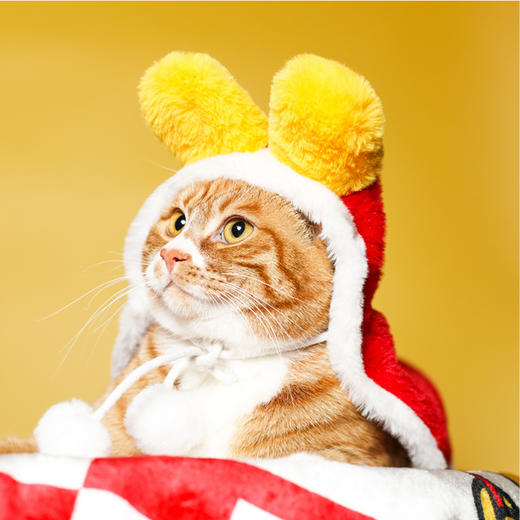 2025年新春宠物披风 商品图0