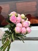 精品花材餐盘芍药花5支 商品缩略图5