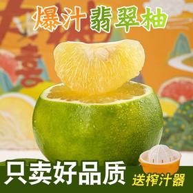 甄选 | 福建翡翠青葡萄柚源头直发