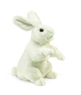 KZ1361 FOLKMANIS站白兔2868