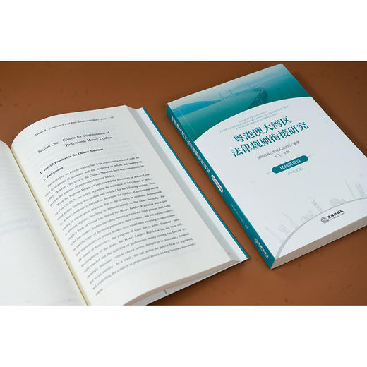 粤港澳大湾区法律规则衔接研究：民间借贷篇（中英文版）深圳前海合作区人民法院编著 法律出版社 商品图6