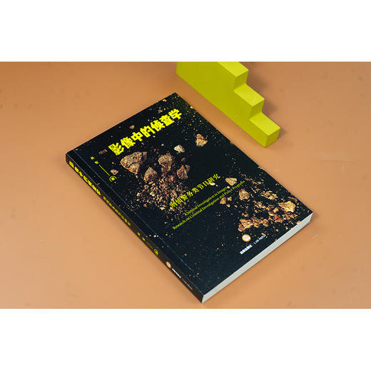 影像中的侦查学：刑侦警务类节目研究 肖军著 法律出版社 商品图6