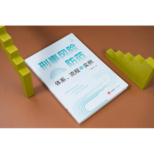 刑事风险防范：体系、流程与实例 赖建东著 法律出版社 商品图2