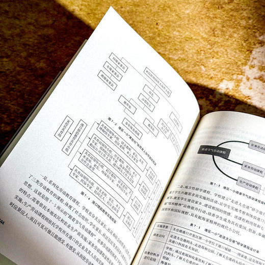 政社协同视域下县域教育治理创新的行动研究 王晓芸 李广耀 商品图12