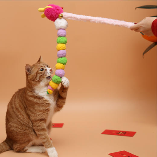 蛇来运转逗猫棒 商品图0