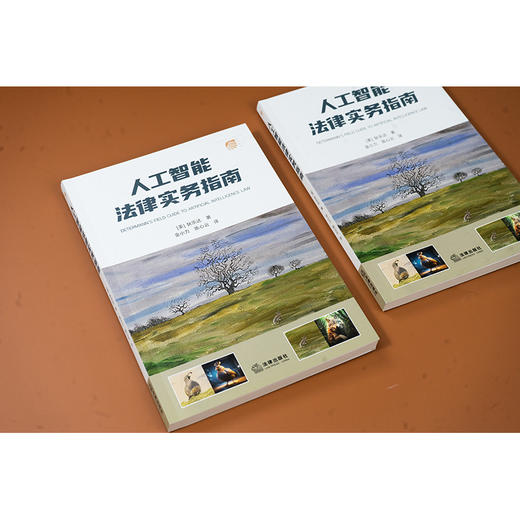 人工智能法律实务指南 狄乐达 法律出版社 商品图7
