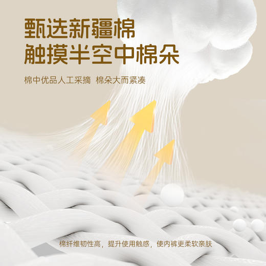 洁丽雅甄选国色系列新疆棉男士内裤7A抑菌亲肤轻柔透气#自在熊猫 商品图1