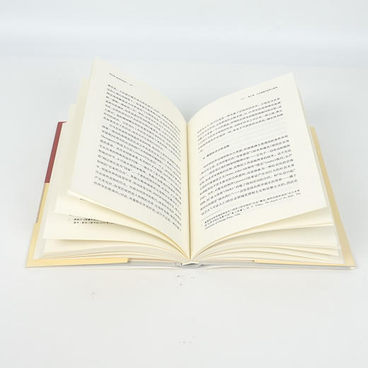 张念《阿伦特：政治的本原》 商品图5