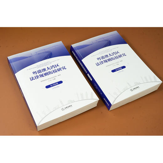 粤港澳大湾区法律规则衔接研究：公司法篇（中英文版） 深圳前海合作区人民法院编著 卞飞主编 法律出版社 商品图2