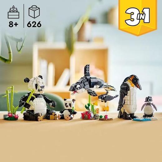 乐高 LEGO 野生动物：熊猫家族LEGC31165 商品图3