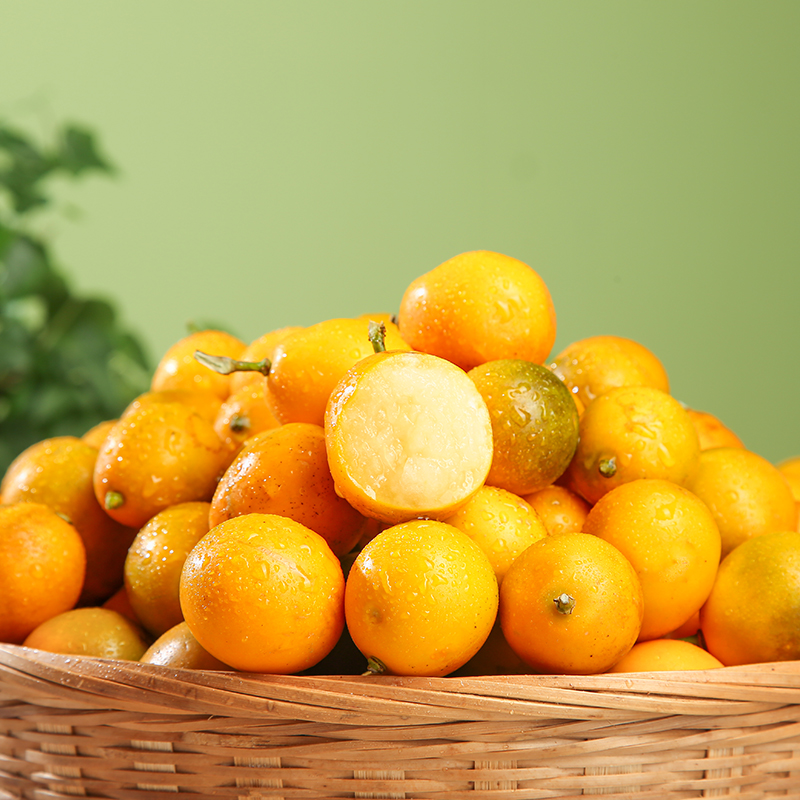 【杨博士甄选】广西滑皮金桔2斤 甜美多汁 新鲜采摘