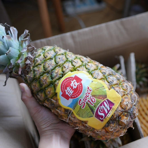 凤梨酥（每个） 商品图2