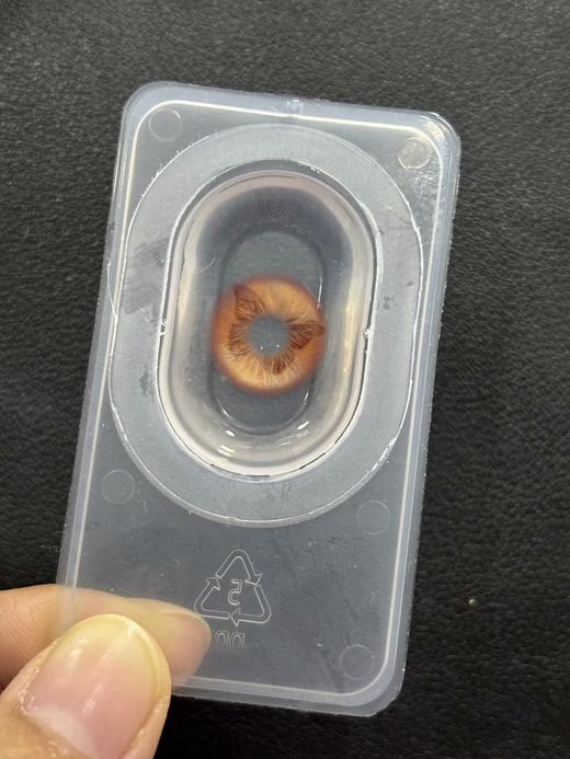 illusionDuck半年抛--晨迹海蝶 商品图6