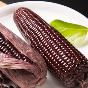 【🔥2024新上市产地直发】有机/非转基因 有机黑玉米 10根真空包装