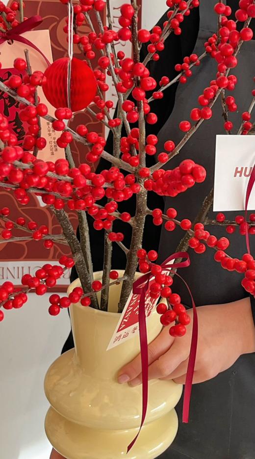 迎新年  鸿运当头 · 冬青瓶花（米色双环瓶）  商品图2