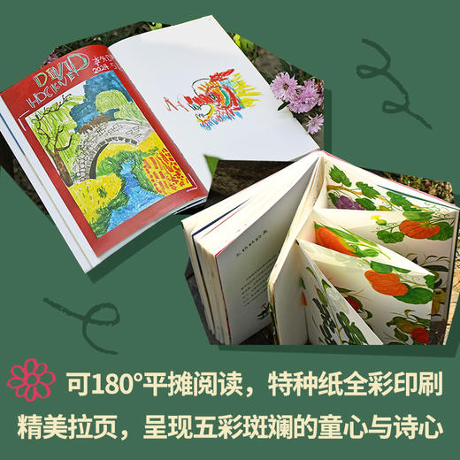 知知的大院子（茅盾文学奖得主刘亮程与小孙女知知“你写我画”，全家倾心合作。二十篇小故事、童趣手绘，讲述爱与成长） 商品图4