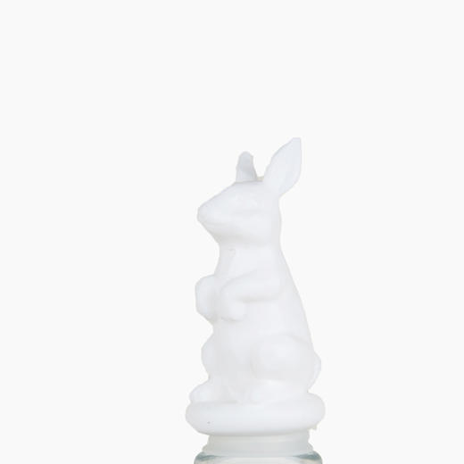 出口日本Franc动物酒塞 商品图4