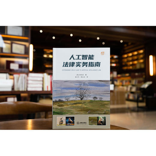 人工智能法律实务指南 狄乐达 法律出版社 商品图11