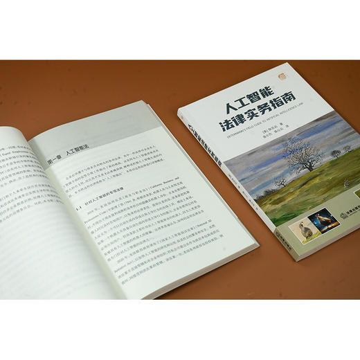人工智能法律实务指南 狄乐达 法律出版社 商品图10
