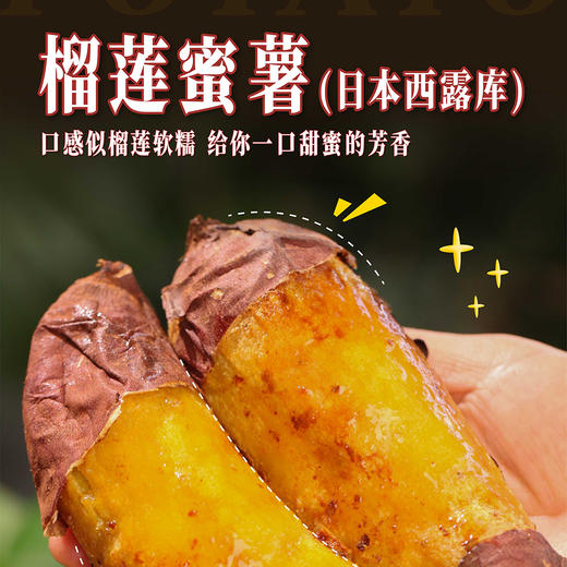 【老爸的梦想】生态榴莲蜜薯（日本西露库）口感柔绵细腻粉糯红皮黄心 3斤 商品图0