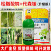 松脂酸钠代森铵果园清园青苔大鹏清园灵清园宝介壳虫矢尖蚧杀虫剂 商品缩略图4