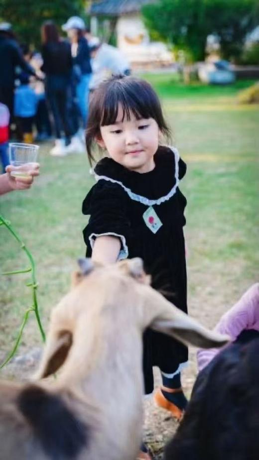 8楼 RYLEE CRU童装  丝绒连衣裙  吊牌价 :799活动价：400 商品图1