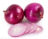 新鲜蔬菜-精品洋葱500g 商品缩略图0
