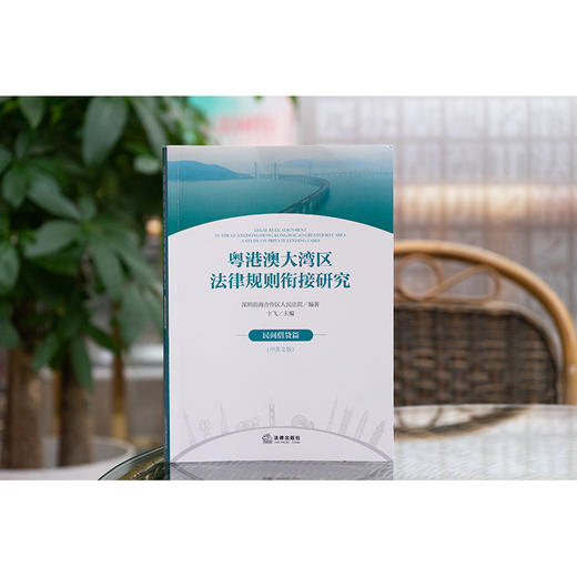 粤港澳大湾区法律规则衔接研究：民间借贷篇（中英文版）深圳前海合作区人民法院编著 法律出版社 商品图8