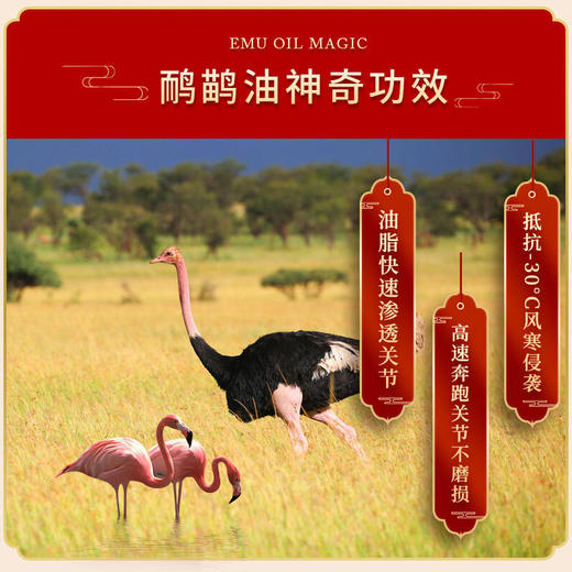 [精选]御润源草本抑菌 鸵鸟膏6包+鸵鸟七层透骨贴6贴 舒经活络  买二盒送一盒 买三送二 买五送四 商品图1