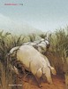 汉语世界2024年第4期【主题新刊：新游戏时代】 商品缩略图13