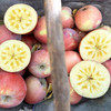 『新疆阿克苏苹果』脆甜爽口 浓郁果香 商品缩略图7