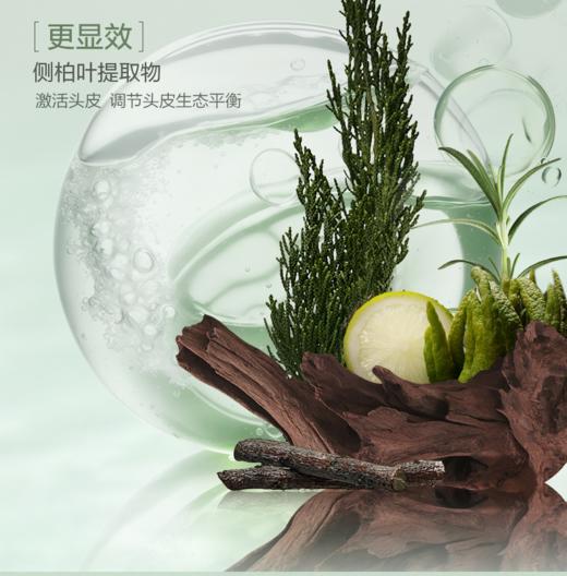阿道夫植物香氛洗沐套装（洗发水618ml+沐浴露618ml） 商品图1